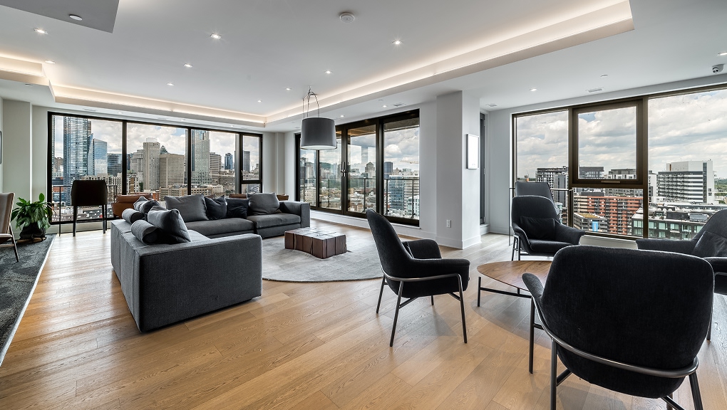 Aménagement intérieur pièce de vie haut de gamme